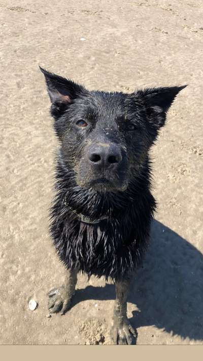 Eure Strandbilder :)-Beitrag-Bild