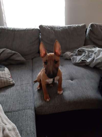 Unser Nachwuchs-Beitrag-Bild