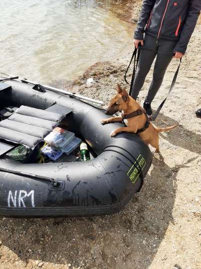 Dogorama-Monats-Challenge-Mai "Wasser"-Beitrag-Bild