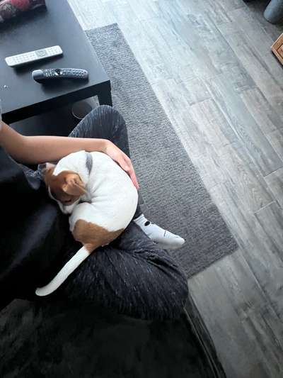 Fotochallange - Eingekugelt-Beitrag-Bild