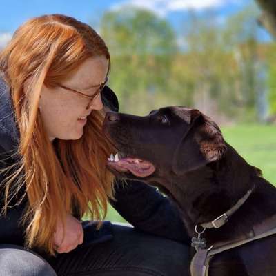 Hundetreffen-Social Walks, Spielrunden, Trainings-Profilbild