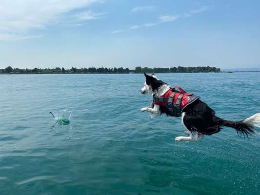 Schwimmweste-Beitrag-Bild