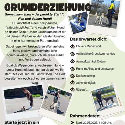 Giftköder-Grundkurs Grunderziehung-Bild