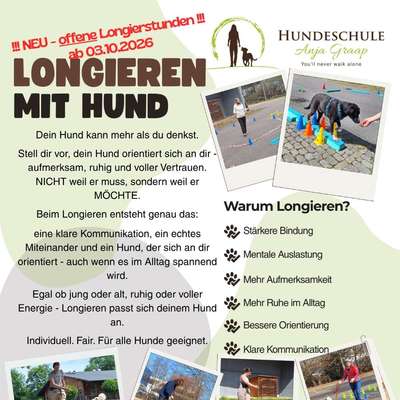 Giftköder-Longieren mit Hund - offene Stunden-Bild