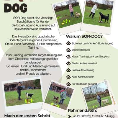 Giftköder-SQR-Dog Kurs-Bild