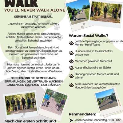 Giftköder-Social Walks-Bild