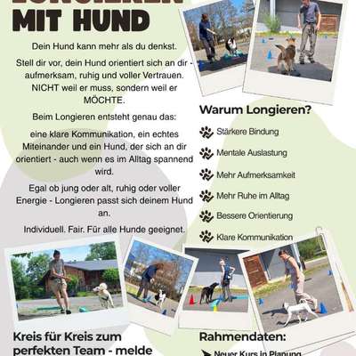 %{de_profession_title}-Longieren mit Hund-Bild