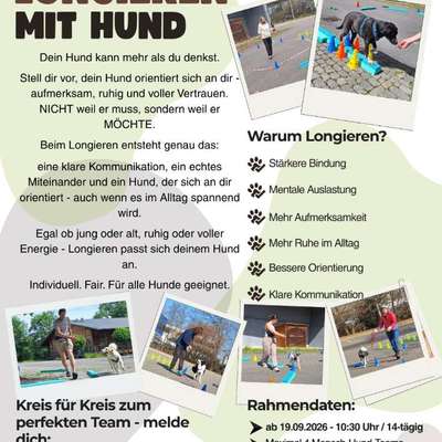 %{de_profession_title}-Longieren mit Hund - offener Kurs-Bild