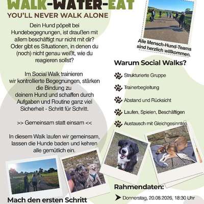 Giftköder-Social Walk-Water-Eat-Bild