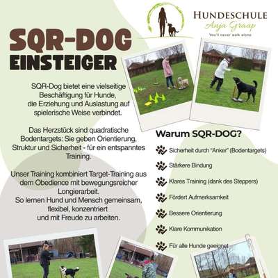 %{de_profession_title}-SQR-DOG-Kurs mit neuem Starttermin!-Bild
