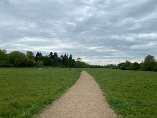 Hundeauslaufgebiet-Hundewiese Bieber-Bild