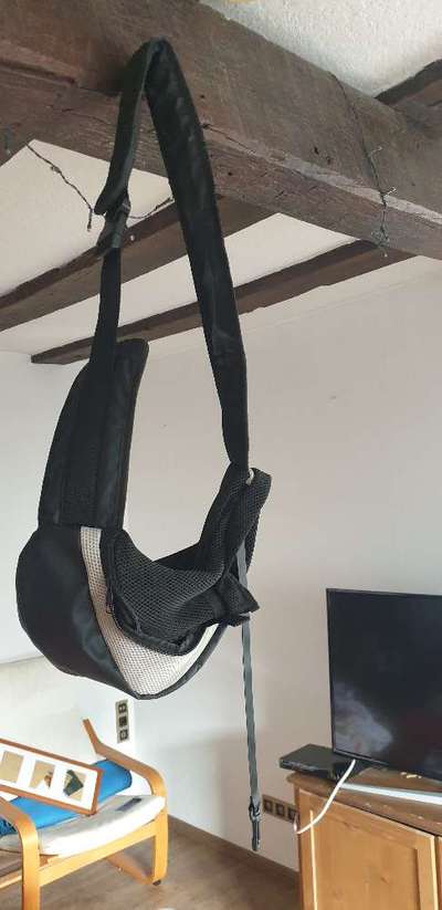 Bauchtrage-Beitrag-Bild