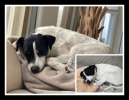 28. Handy-Fotochallenge - Damals und heute-Beitrag-Bild