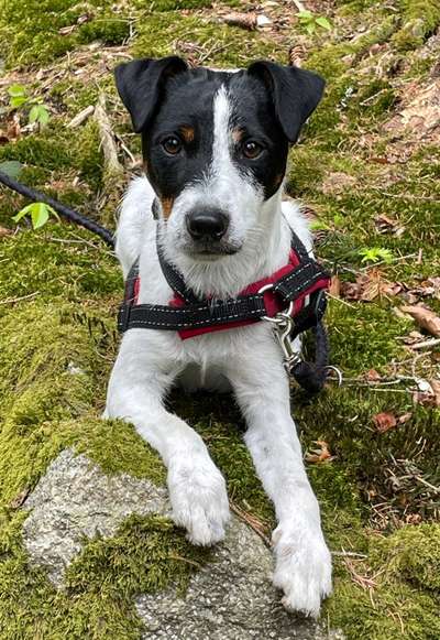 Lieblingsbild-Beitrag-Bild