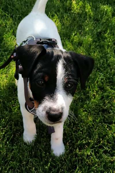 Fotochallange Nummer 5-Beitrag-Bild