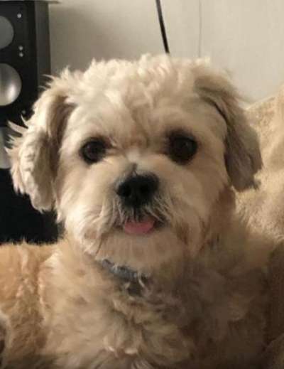 Fotochallange Nr. 57     PORTRÄT.   Beendet!!!!!!!!-Beitrag-Bild