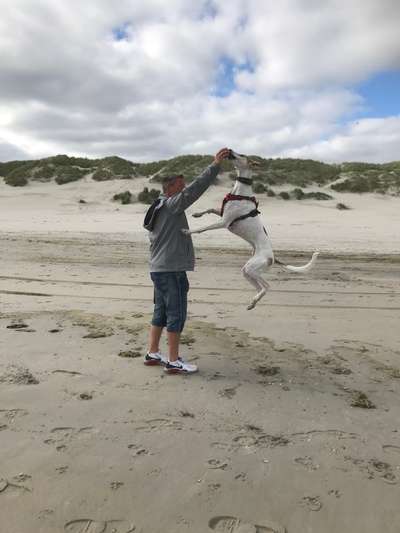 Die Dogorama Wochen Challenge-Beitrag-Bild