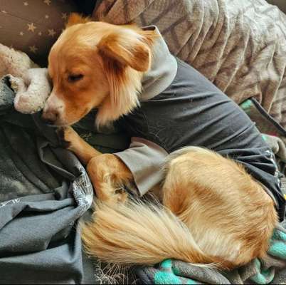 Kragen oder Post-OP-Body-Beitrag-Bild