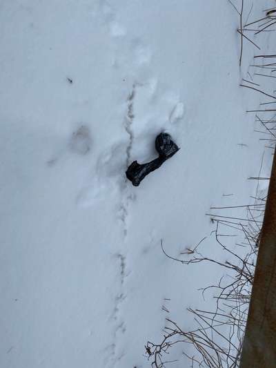 Hinterlassenschaften-Beitrag-Bild