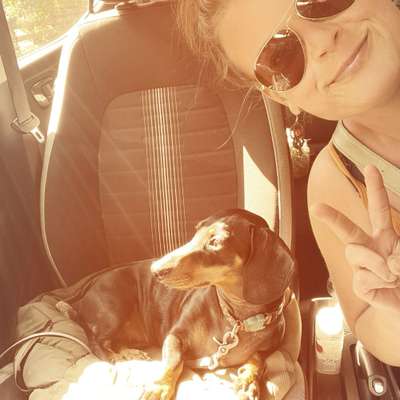 Katharina's Profilbild