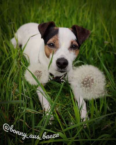 Fotowettbewerb Natur-Beitrag-Bild