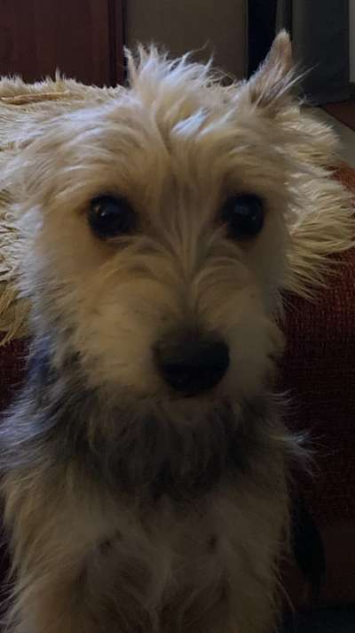 Fotochallange Nr. 57     PORTRÄT.   Beendet!!!!!!!!-Beitrag-Bild