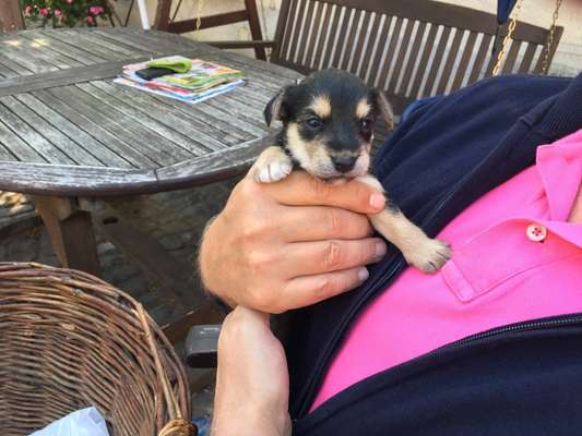 Sie werden so schnell erwachsen ...-Beitrag-Bild