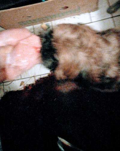 Un...scharf Bilder-Beitrag-Bild