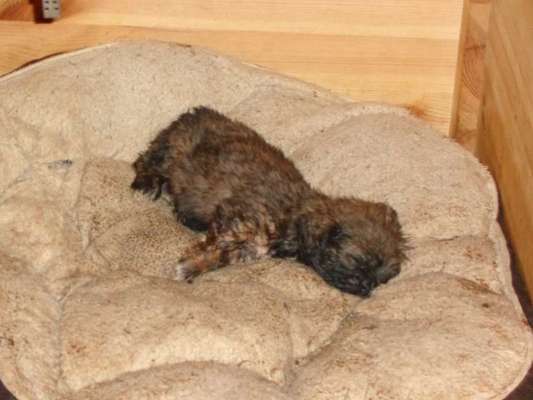 Erstes Bild-Beitrag-Bild