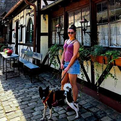 Hundetreffen-Dogsharring/ Hundesitter gesucht-Profilbild