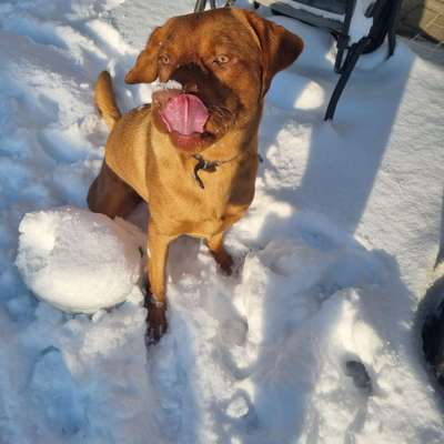 Was hat euch heute gefreut?-Beitrag-Bild