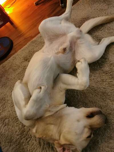 Fotochallenge Nr.65-Beitrag-Bild