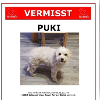Suchmeldung-Puki-Bild