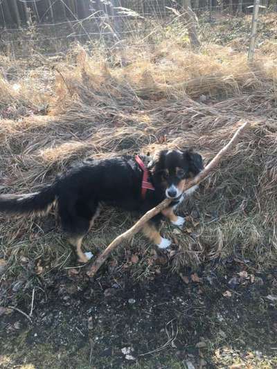 Fotochallenge Nr. 56 - geliebte Senioren-Beitrag-Bild