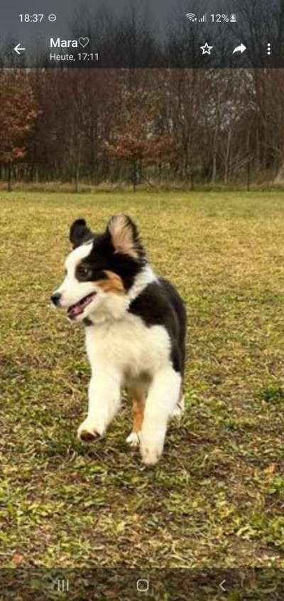 Lieblingsbild-Beitrag-Bild