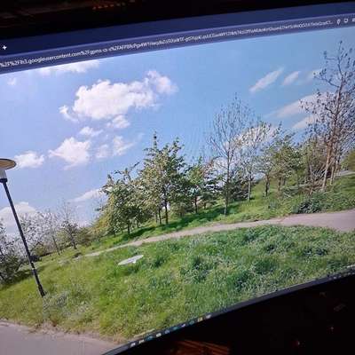 Giftköder-Vermutliche Giftköder Würfel-Bild