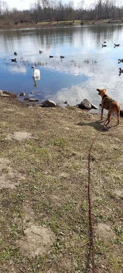 Fotowettbewerb Natur-Beitrag-Bild
