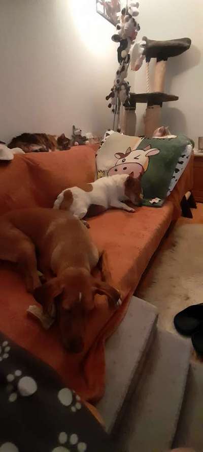 4. Lustiger Schlafplatz-Beitrag-Bild