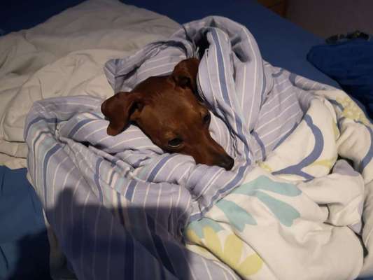 Im Bett schlafen-Beitrag-Bild