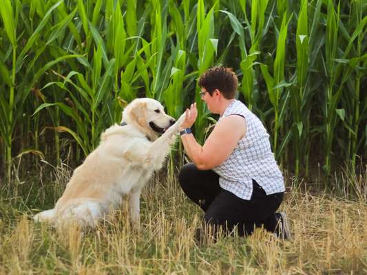 14. Handyfoto-Challenge: "BUDDY-Builder"-Beitrag-Bild