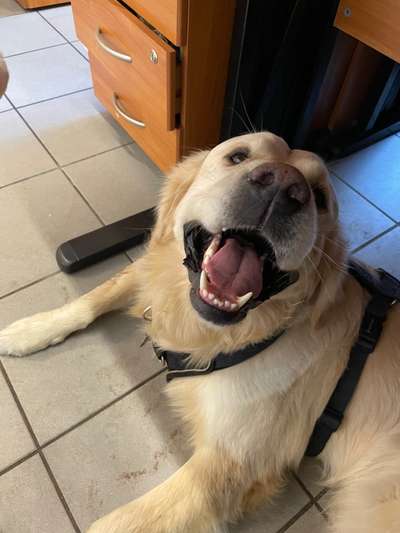 Zeigt her...-Beitrag-Bild