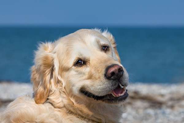 Farben Fotochallenge Sonnenlicht-Beitrag-Bild