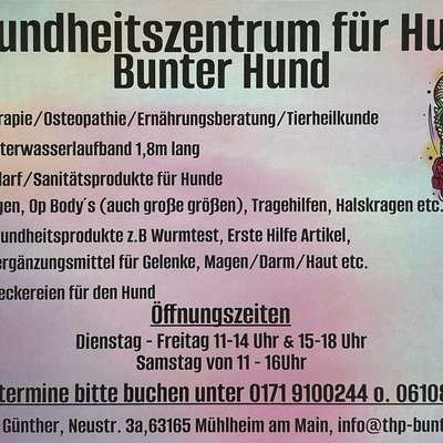 Hundeshops-Gesundheitszentrum für Hunde Bunter Hund-Bild