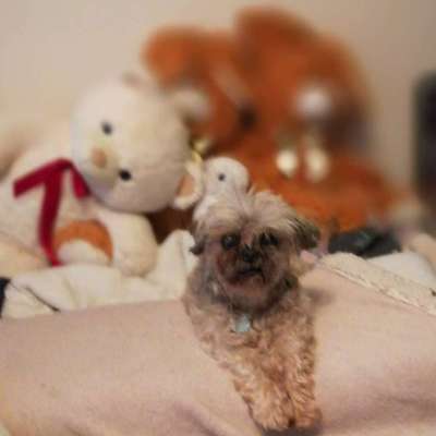 Fotochallenge Nr. 56 - geliebte Senioren-Beitrag-Bild