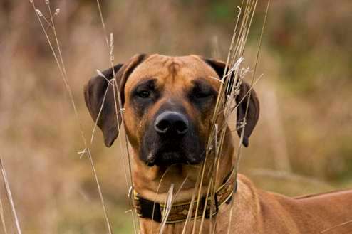 Lieblingsbild-Beitrag-Bild