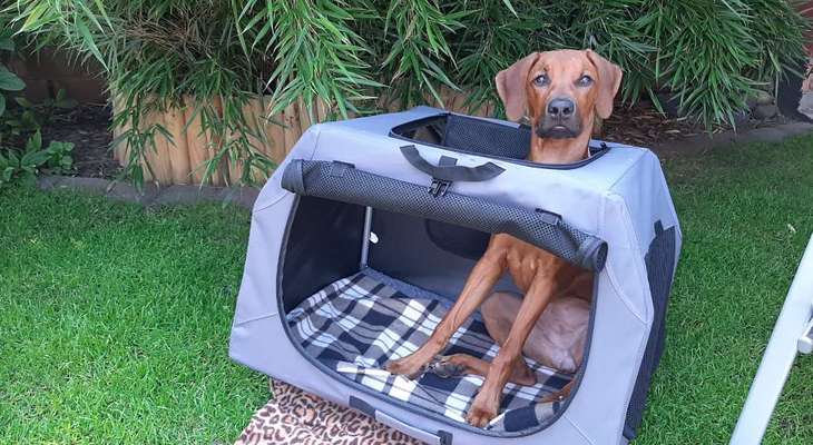 Lieblingsbild-Beitrag-Bild