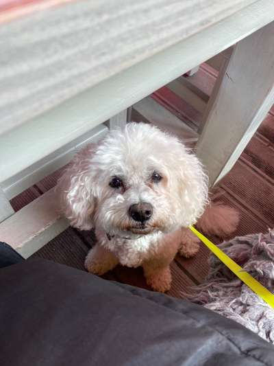 Herzensangelegenheit: Kardiologe in-und um Berlin?-Beitrag-Bild