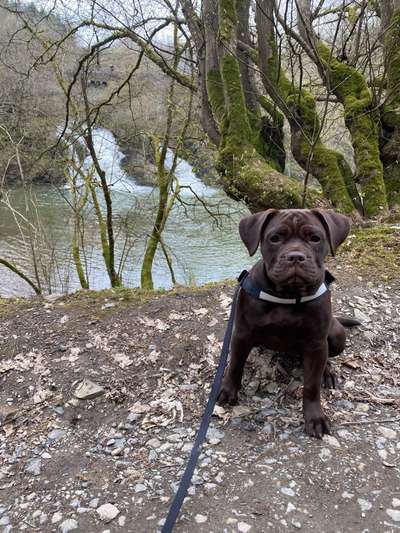 Fotochallenge No. 26                                     Wald und Wiese-Beitrag-Bild