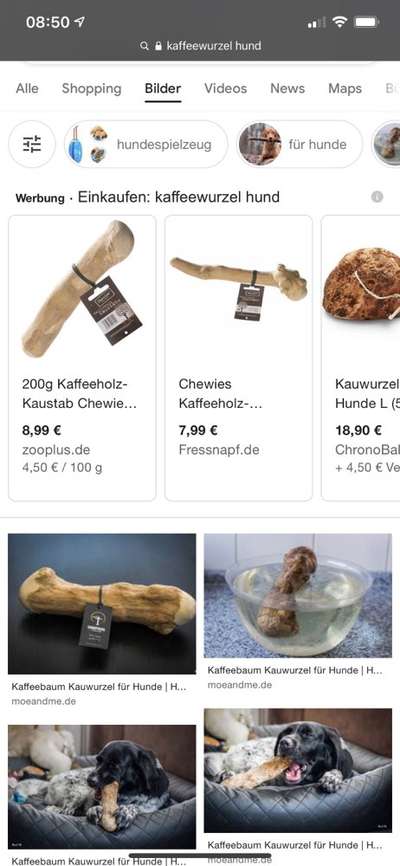 Welpe zur Ruhe bringen-Beitrag-Bild