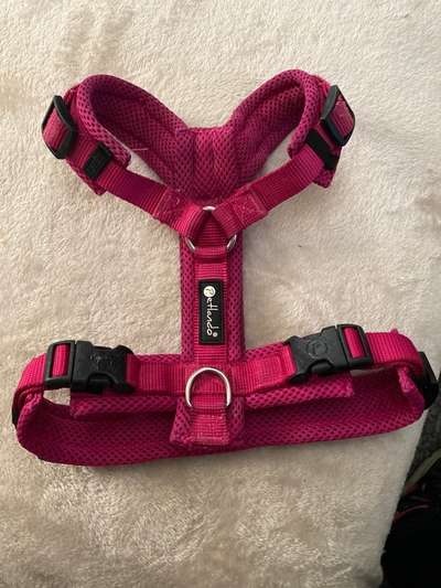 Fotochallenge No. 26                                     Wald und Wiese-Beitrag-Bild